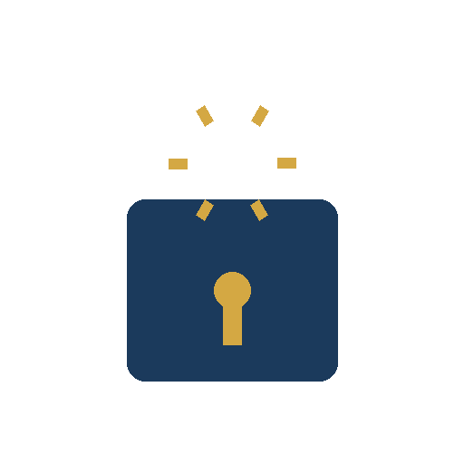 Security lock icon